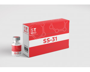 SS 31